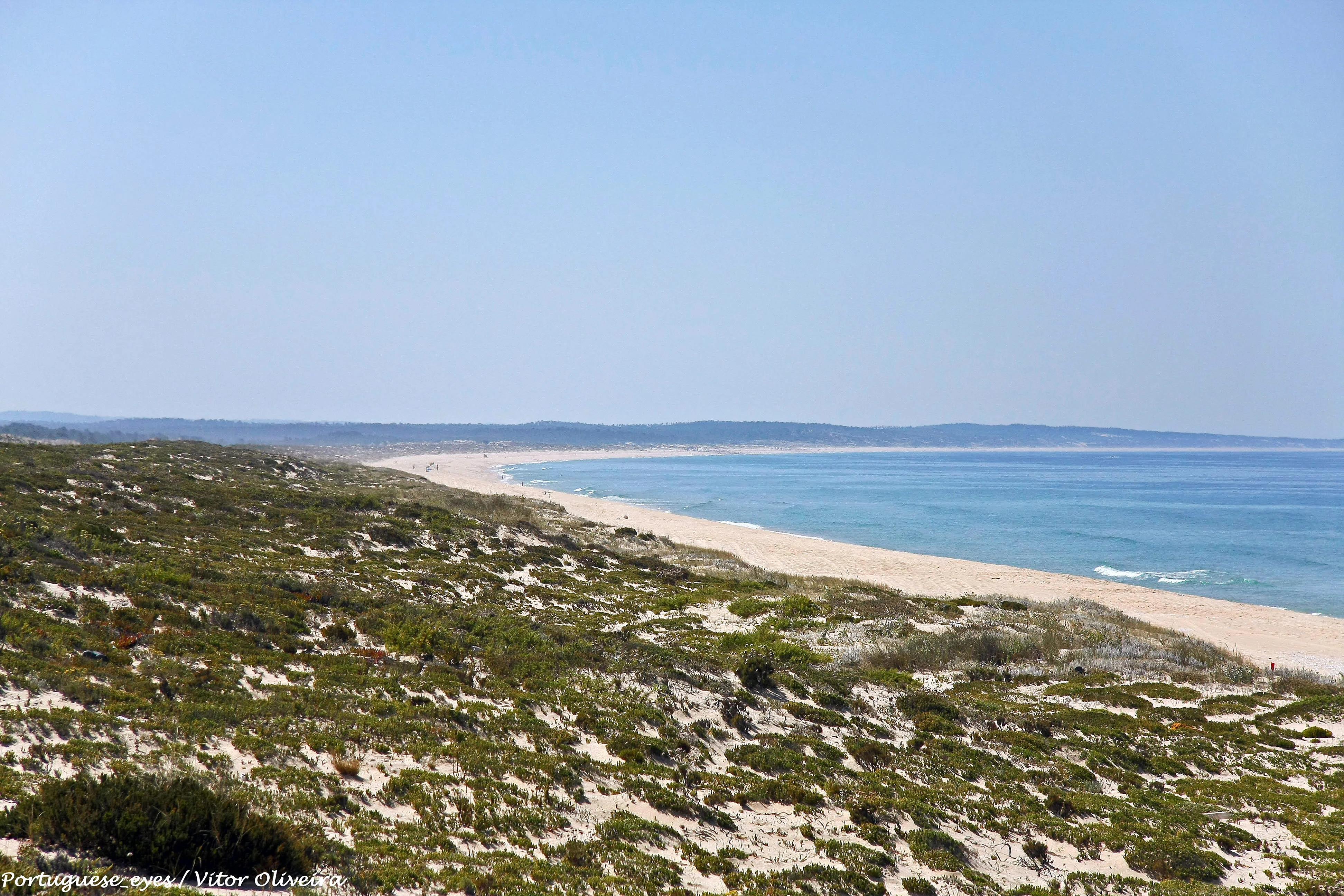 Pristine Comporta coastline with dunes and Atlantic ocean
