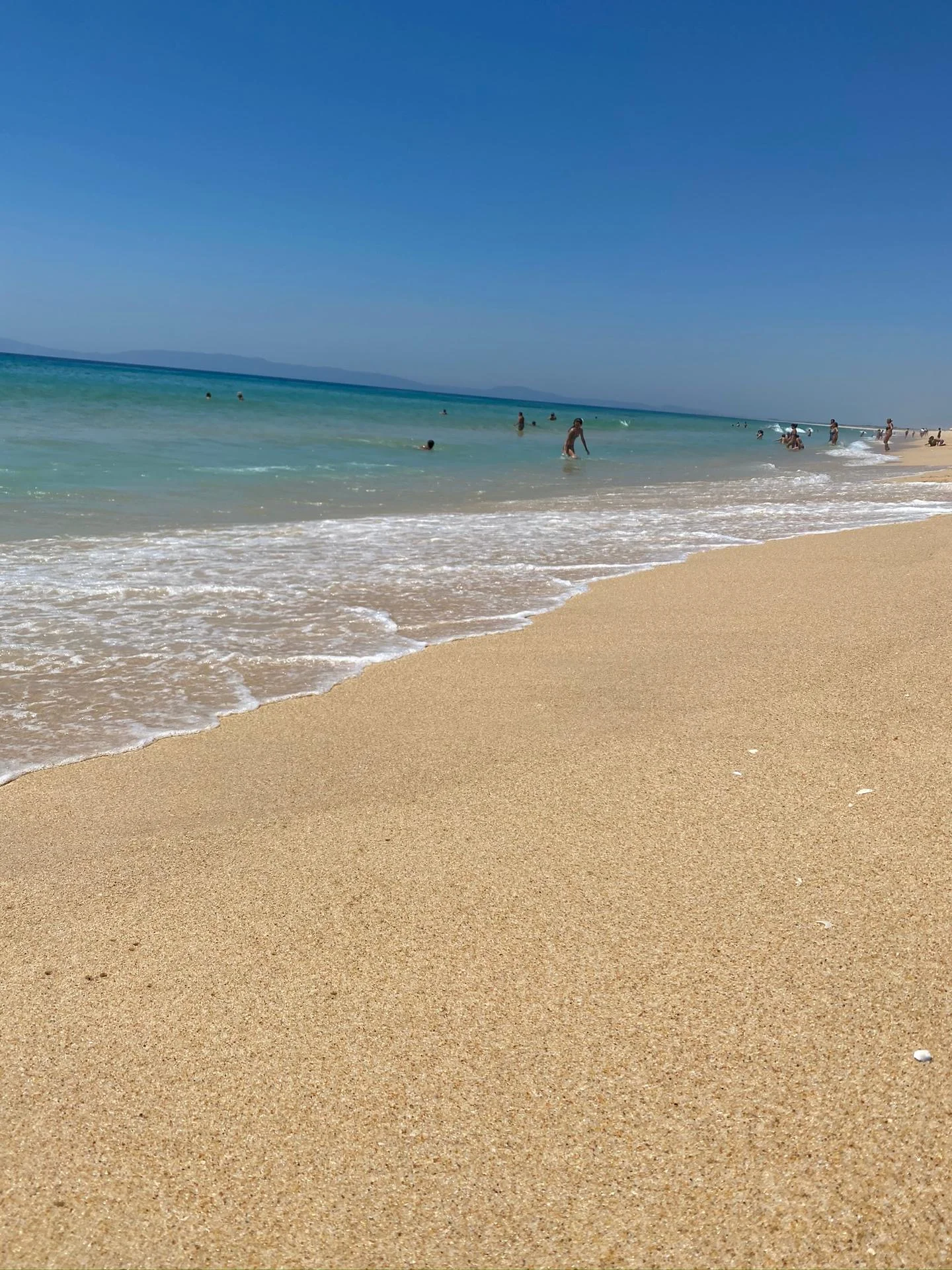Portrait view of Praia da Comporta