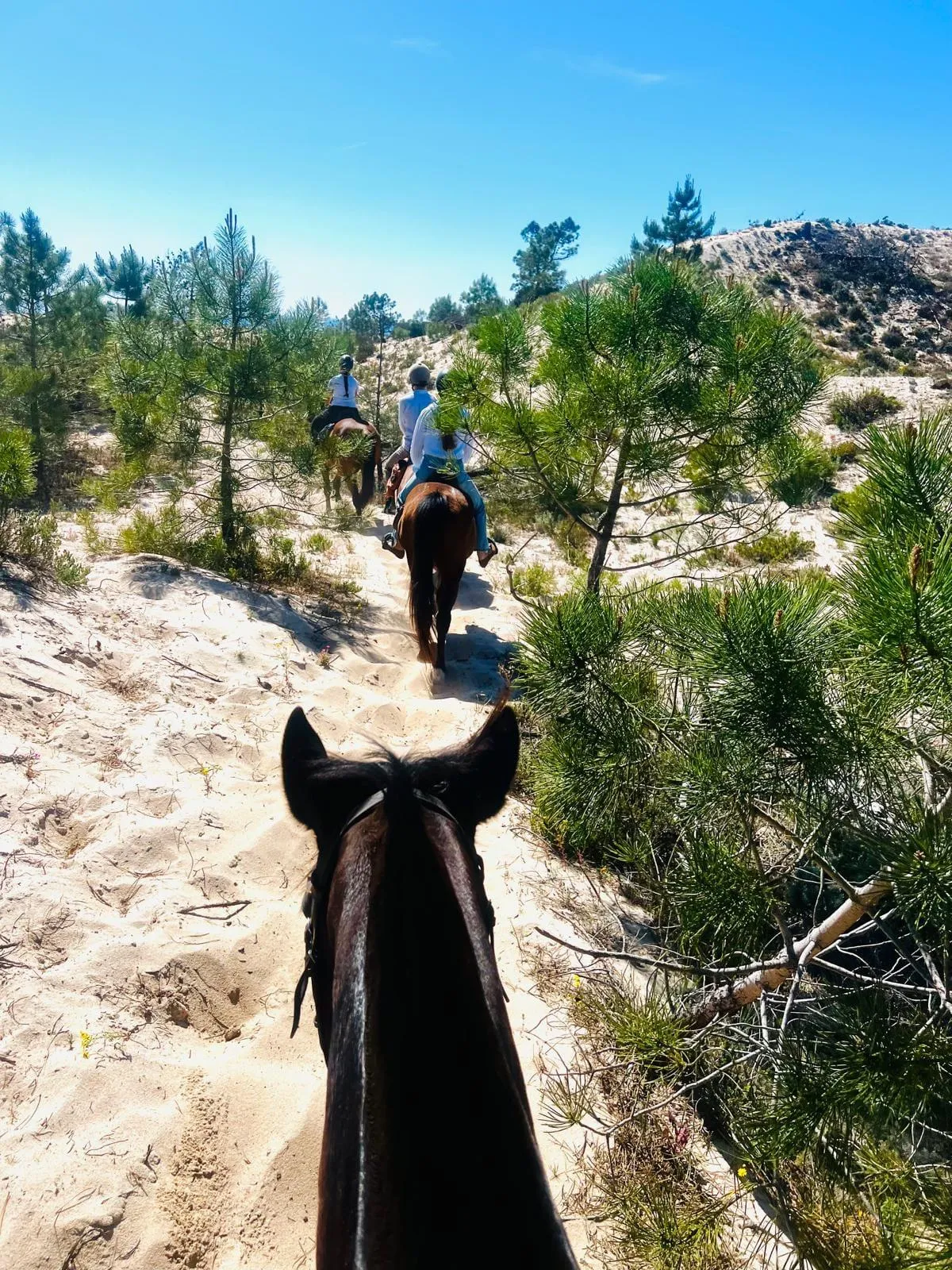 Horse riding through the Comporta landscape