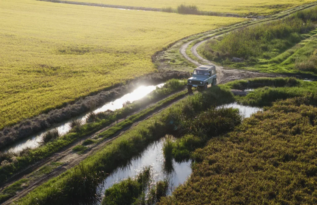 Green off-road vehicle on a muddy track through waterlogged rice fields with sun glittering on a stream