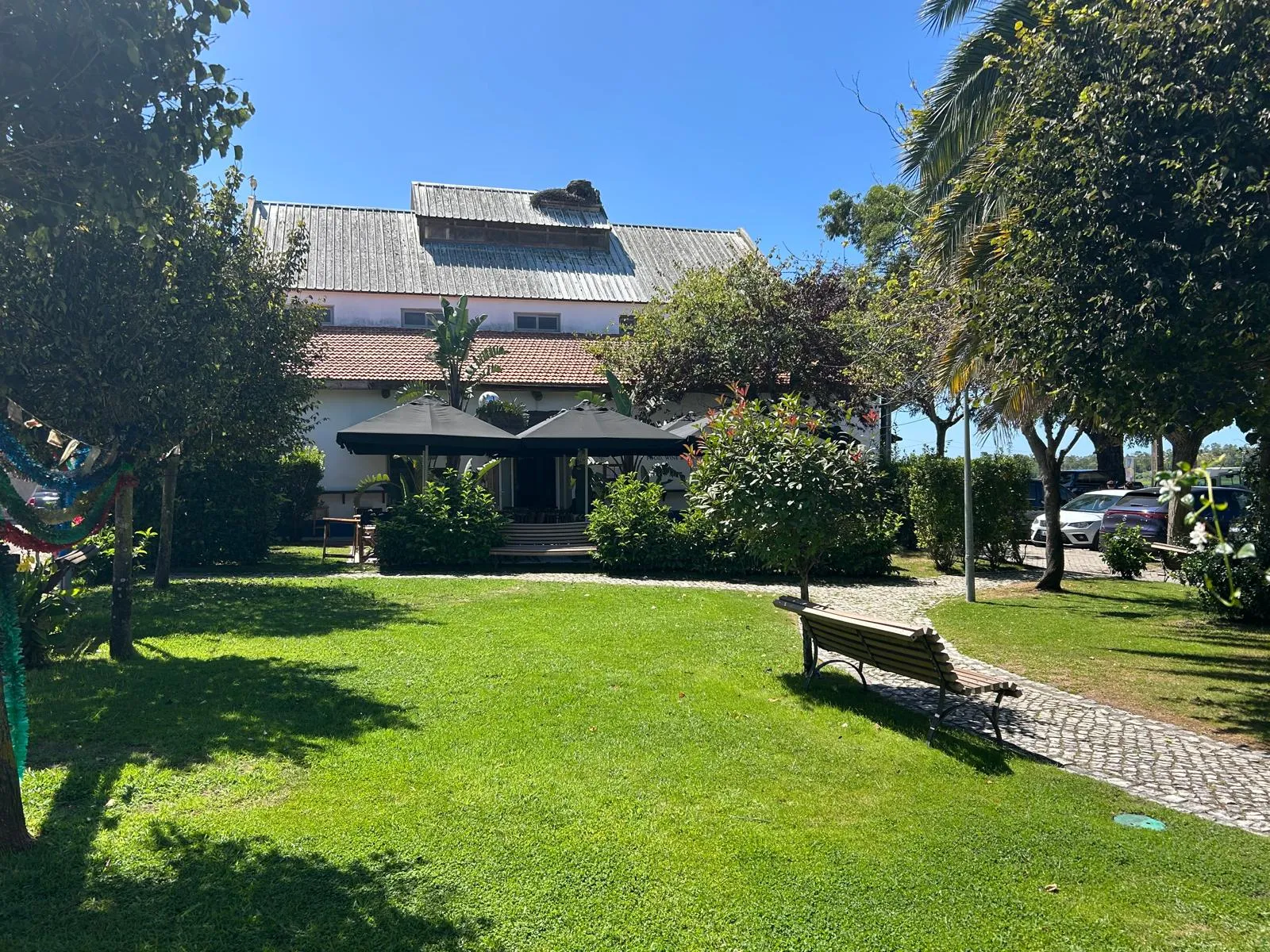 Quiet village street with outdoor café seating under a pergola, eucalyptus tree and whitewashed buildings with blue trim